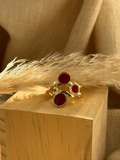 Amaris Anillo