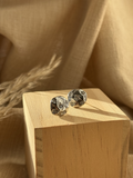 Viera Aretes