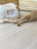 Amparo Anillo