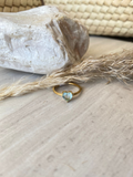 Amparo Anillo