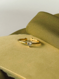 Amparo Anillo