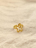 Ara Anillo