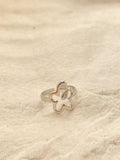 Ara Anillo