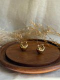 Canie Aretes