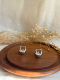 Canie Aretes
