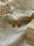 Clover Aretes