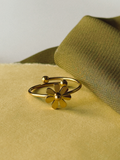 Cur Anillo