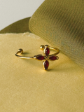 Vidio Anillo